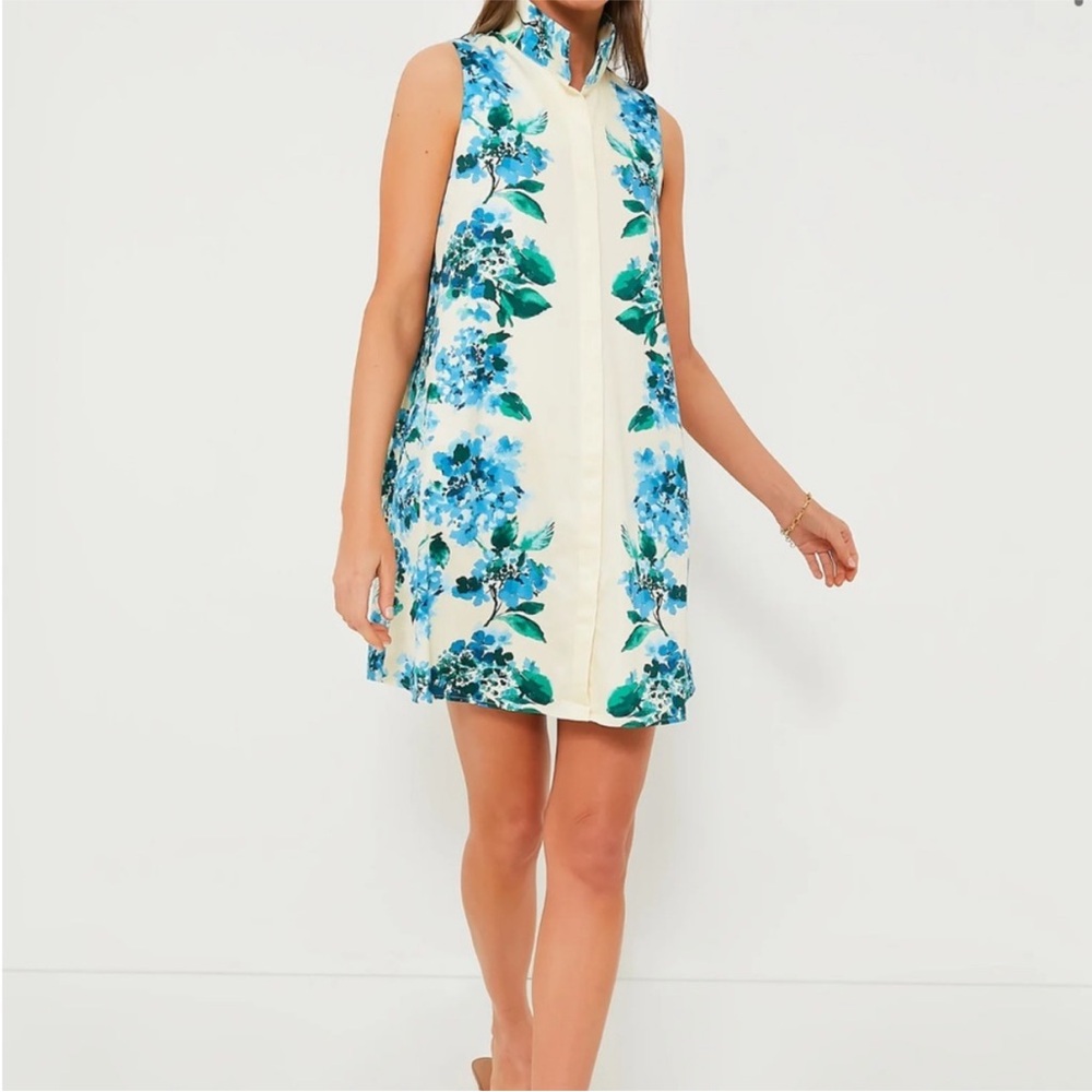 Tuckernuck Cream and Blue Floral Mini Dress